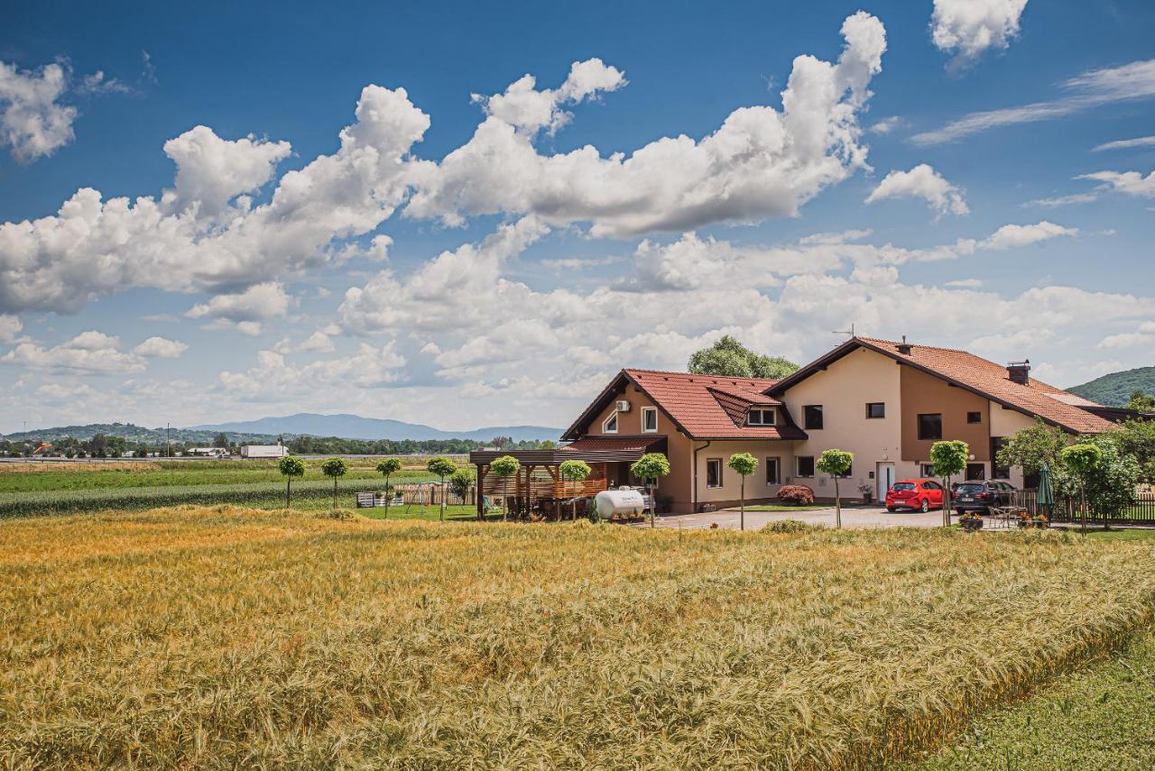 Lux Living Apartments Budic Near Terme Catez Brežice Esterno foto