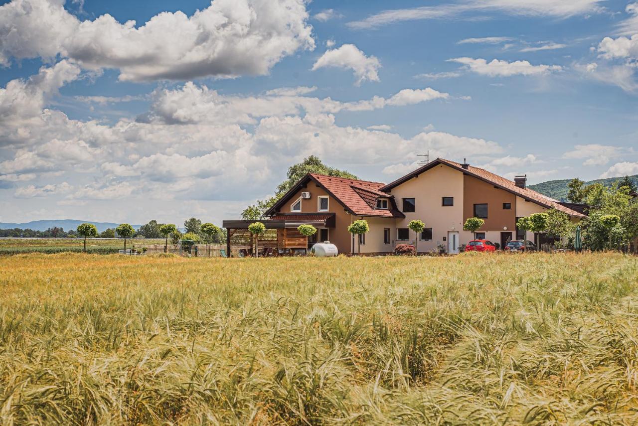 Lux Living Apartments Budic Near Terme Catez Brežice Esterno foto