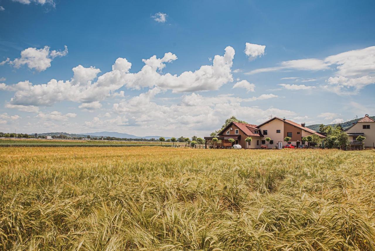 Lux Living Apartments Budic Near Terme Catez Brežice Esterno foto