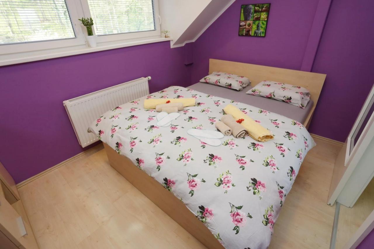 Lux Living Apartments Budic Near Terme Catez Brežice Esterno foto