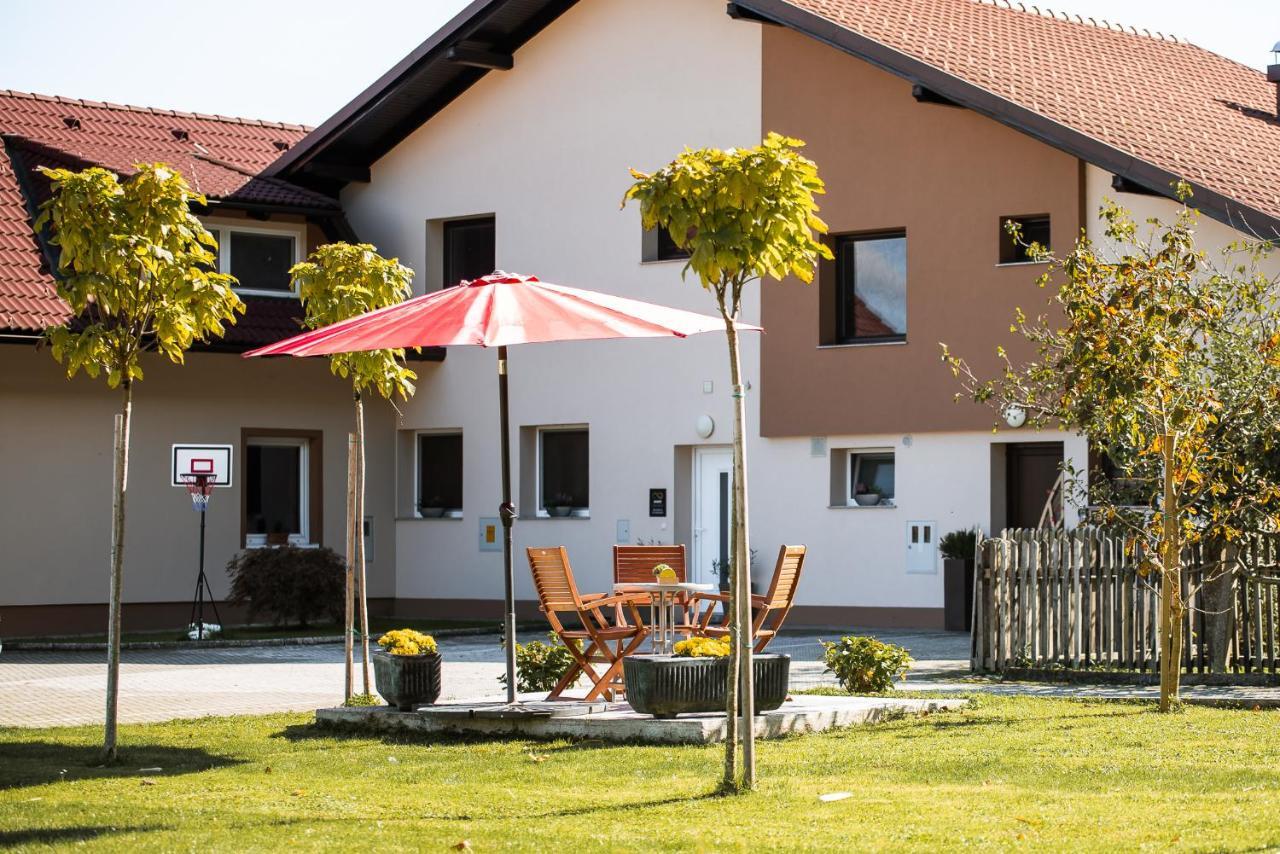 Lux Living Apartments Budic Near Terme Catez Brežice Esterno foto
